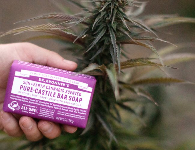 <strong>The quick and easy guide to making marijuana soap</strong>