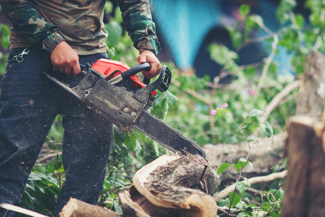 Important Benefits Of Hiring A Tree Removal Service?