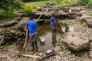 Cleaner Ponds: The Ultimate Guide to a Crystal-Clear, Healthy Water Garden