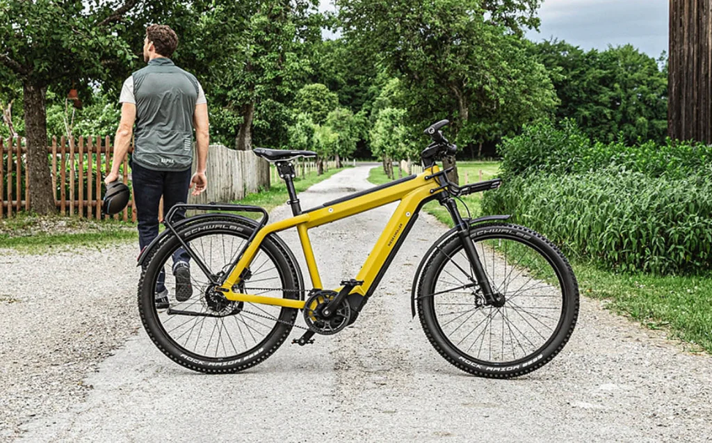 Best Riese & Müller e-bike