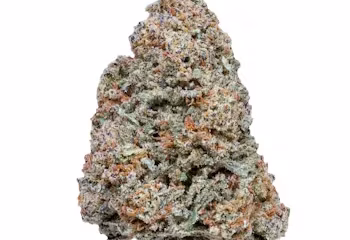 Cherry Mac Strain: A Sweet and Modern Cannabis Favourite