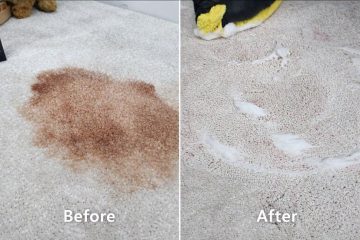 Carpet Cleaning Dubai: Keep Your Carpets Fresh, Clean, and Long Lasting